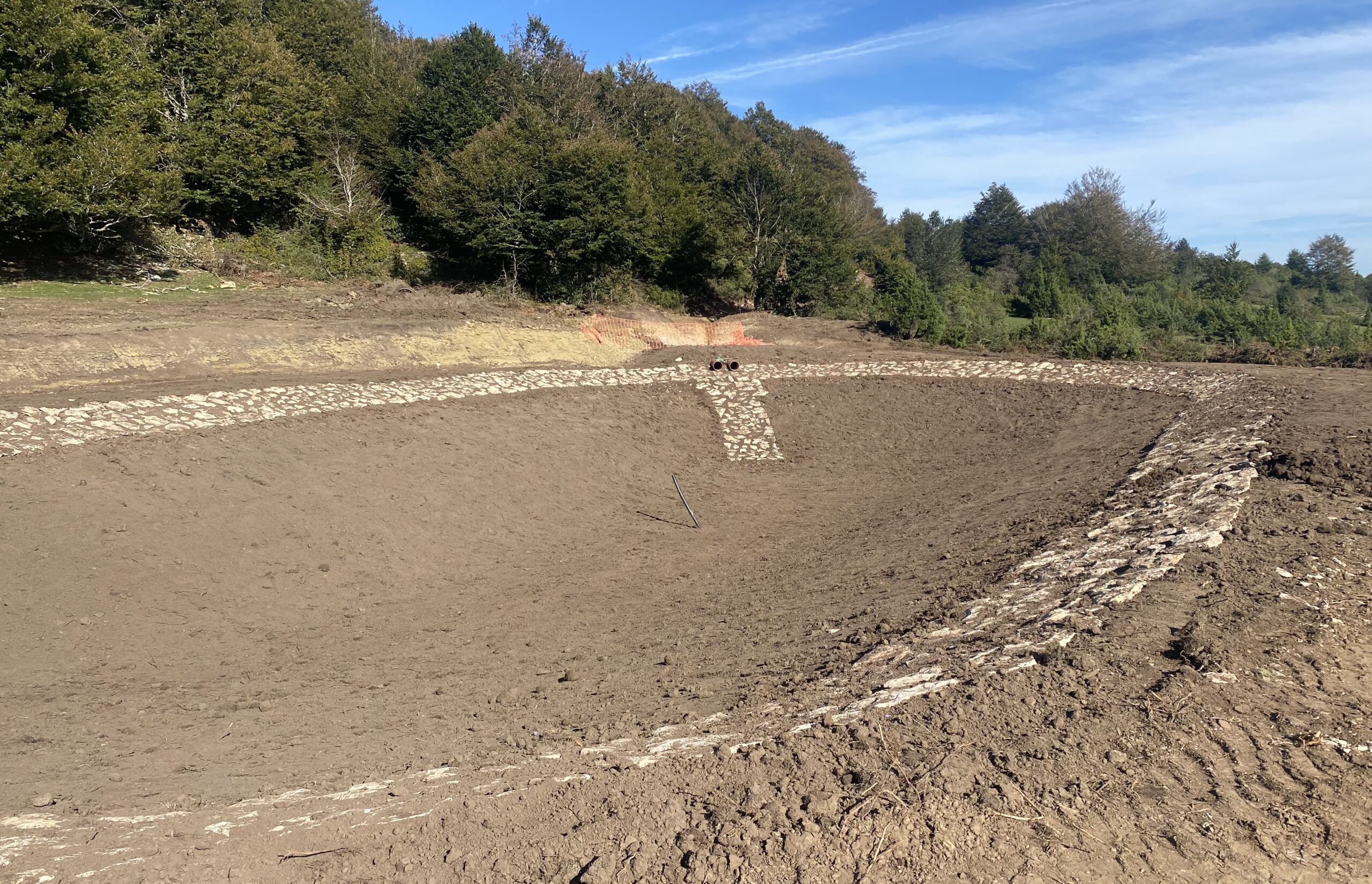 145CFCF5-E70E-45B3-9273-8AC14F57271B_1_201_a