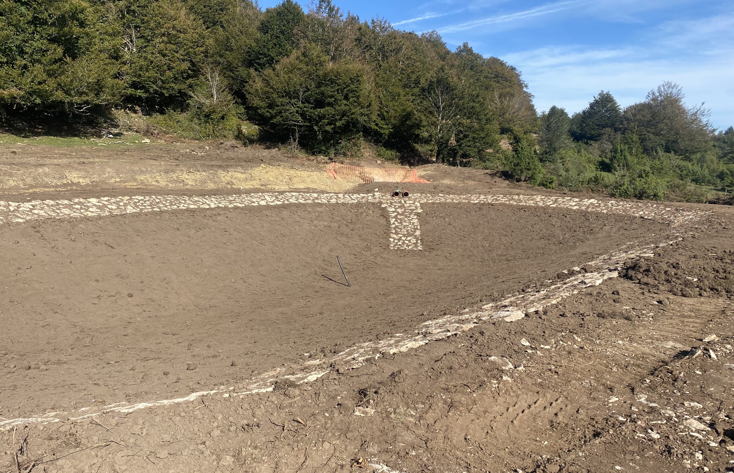 87B2BEB3-6C53-49E9-844F-BEFBBB72B941_1_201_a