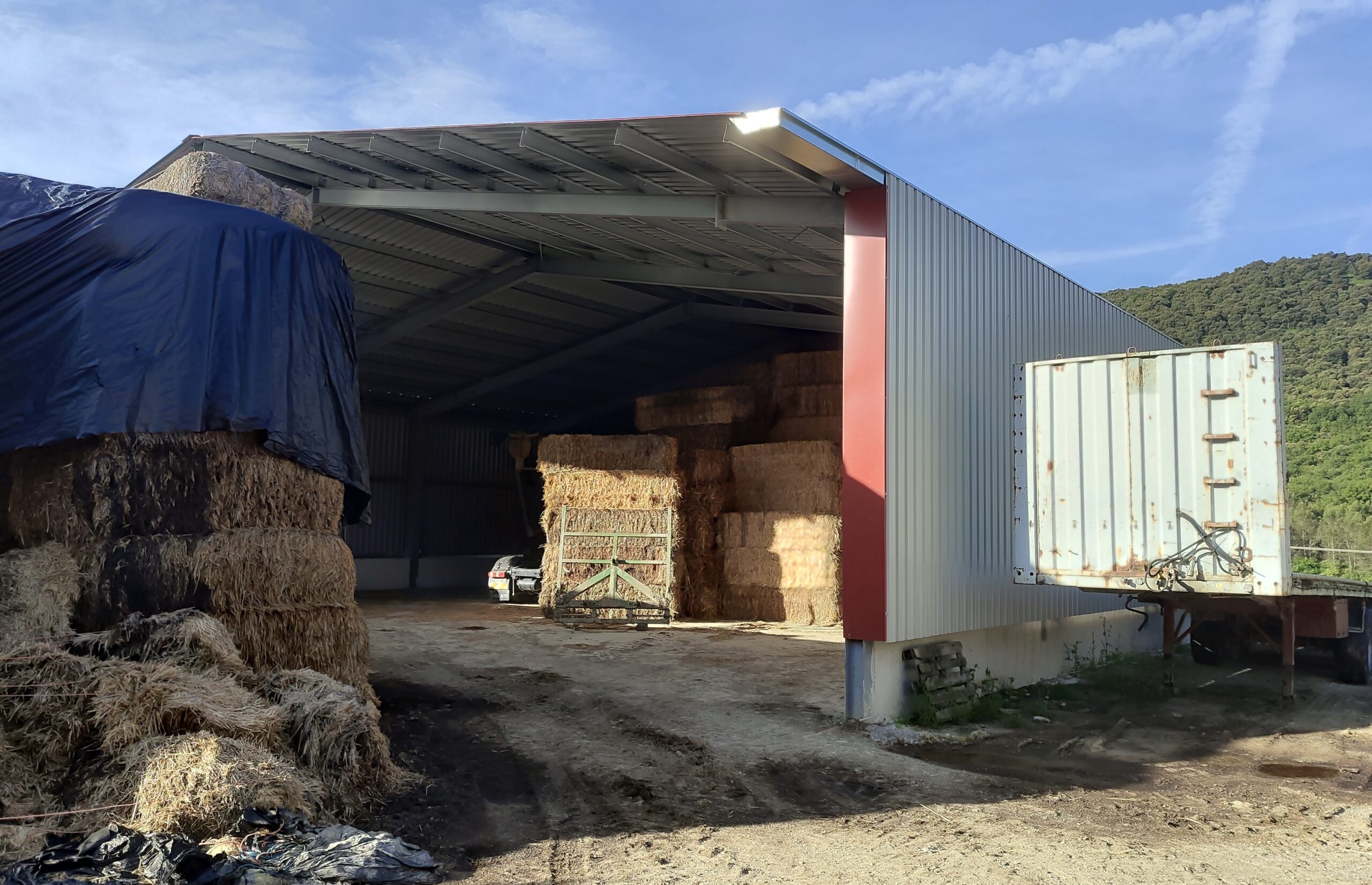 F3EA2D16-CA94-44CA-A47B-415917D4C0B7_1_201_a